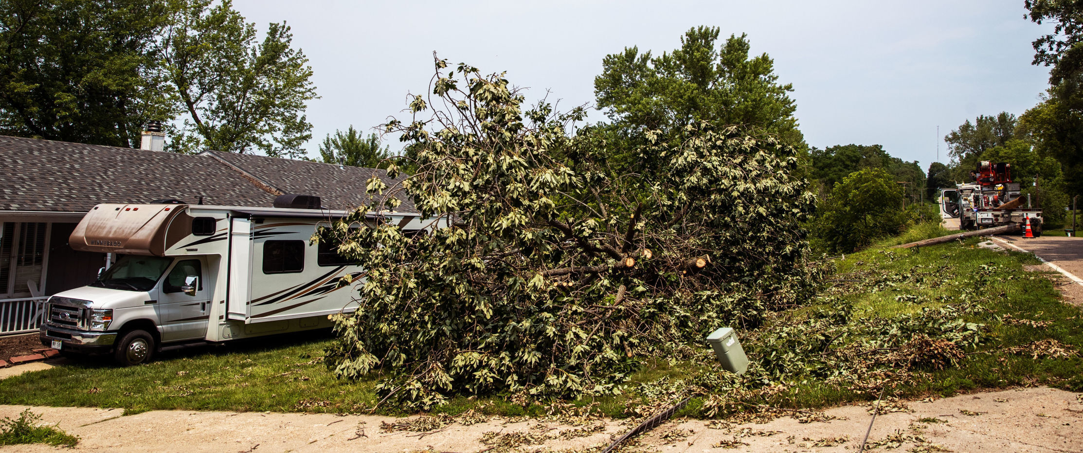 072021-owh-new-treedebris-pic-cm011.jpg